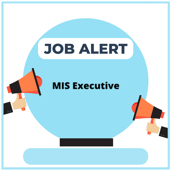 MIS Executive