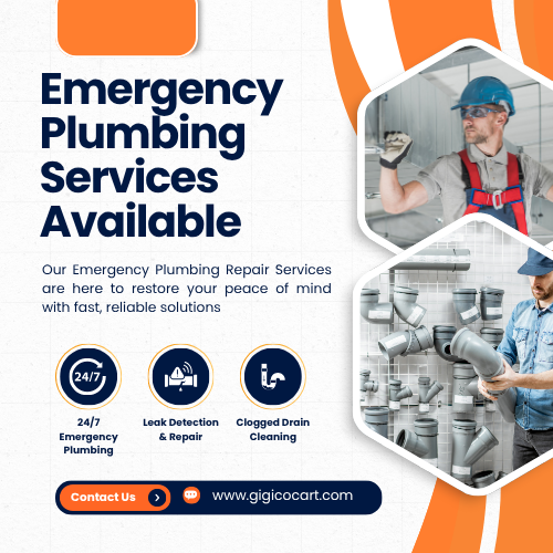 Professional Plumbing Services